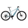 25/26 Elium 8.6i 29R Herre- L/XL 20&quot; EP6 85NM/630WH- Uten utstyr, Cues 11/46